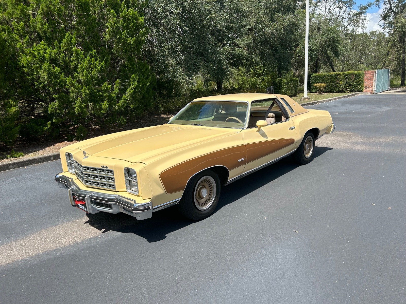 Chevrolet-Monte-Carlo-1977-Coupe-2