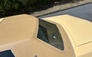 Chevrolet-Monte-Carlo-1977-Coupe-21