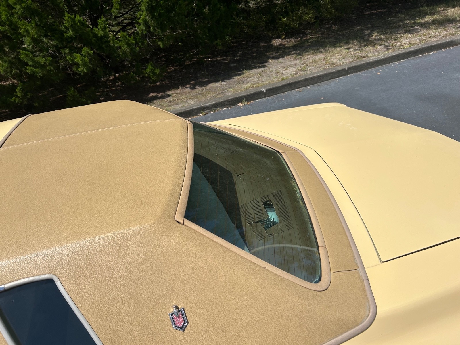 Chevrolet-Monte-Carlo-1977-Coupe-21