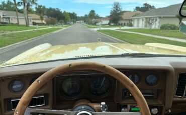 Chevrolet-Monte-Carlo-1977-Coupe-23