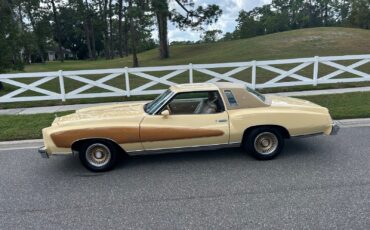 Chevrolet-Monte-Carlo-1977-Coupe-35