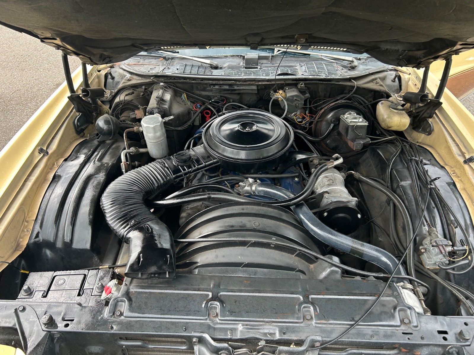 Chevrolet-Monte-Carlo-1977-Coupe-9