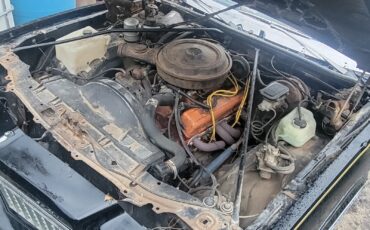 Chevrolet-Monte-Carlo-1979-Coupe-14