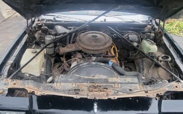Chevrolet-Monte-Carlo-1979-Coupe-4