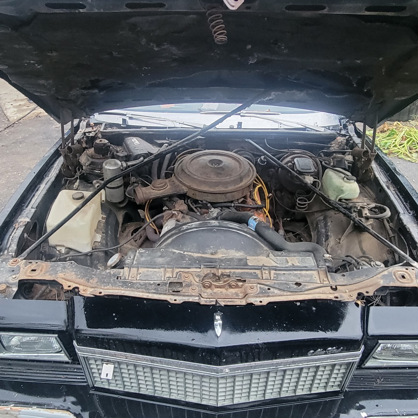 Chevrolet-Monte-Carlo-1979-Coupe-4