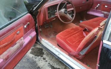 Chevrolet-Monte-Carlo-1979-Coupe-7