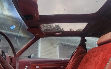 Chevrolet-Monte-Carlo-1979-Coupe-8
