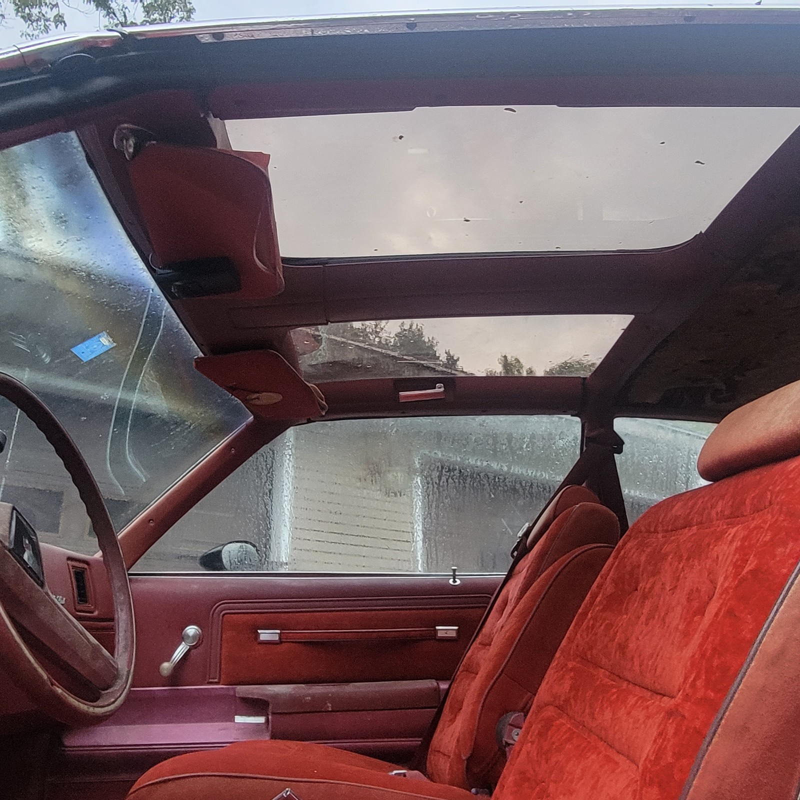 Chevrolet-Monte-Carlo-1979-Coupe-8