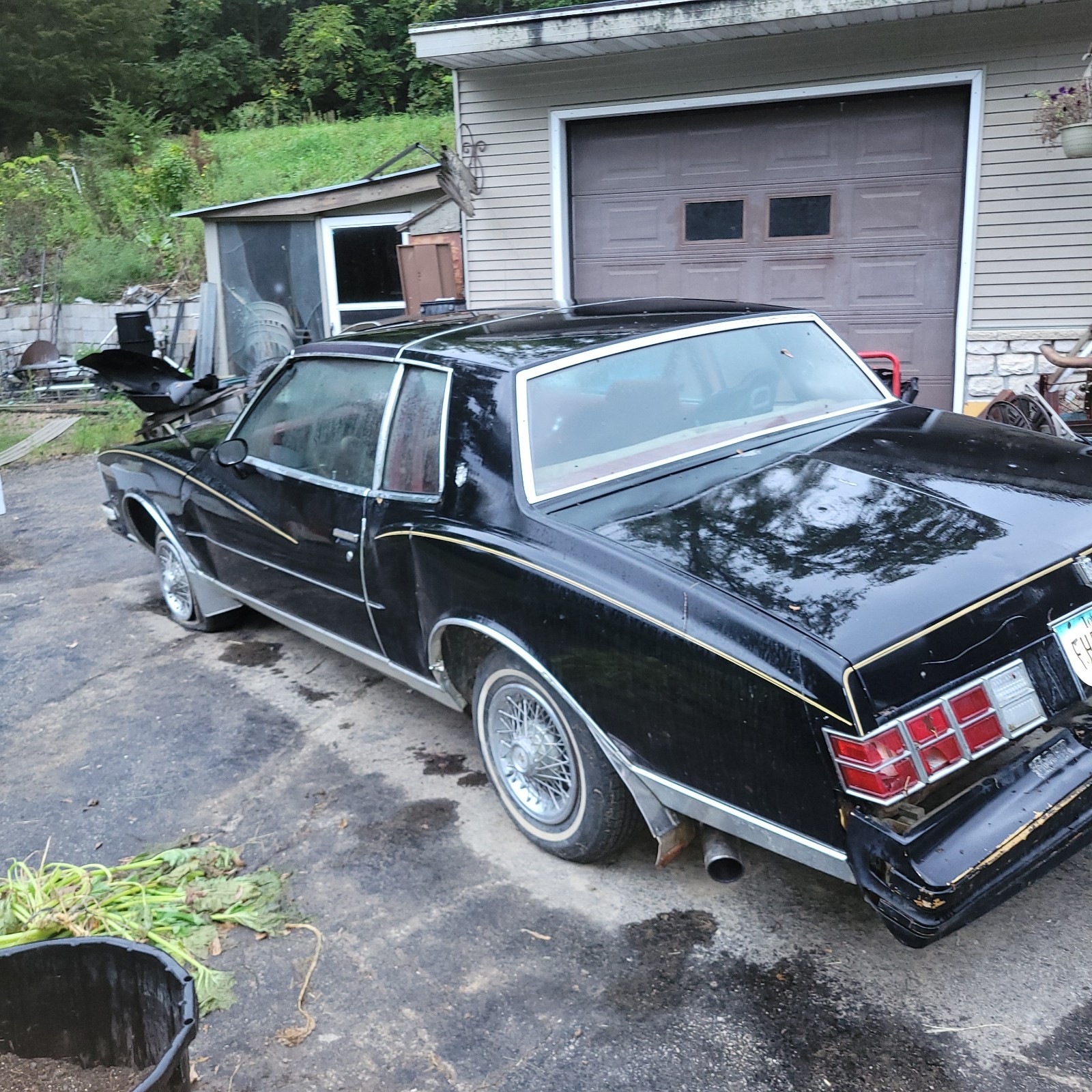 Chevrolet Monte Carlo 1979