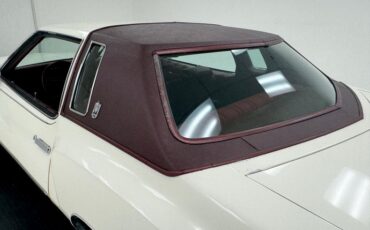 Chevrolet-Monte-carlo-1973-Antique-White-Dark-Red-24