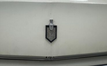 Chevrolet-Monte-carlo-1973-Antique-White-Dark-Red