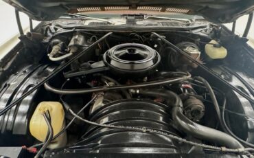 Chevrolet-Monte-carlo-1973-Antique-White-Dark-Red-47