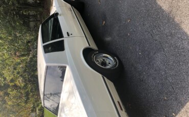 Chevrolet-Monte-carlo-1985-White-Gray-2