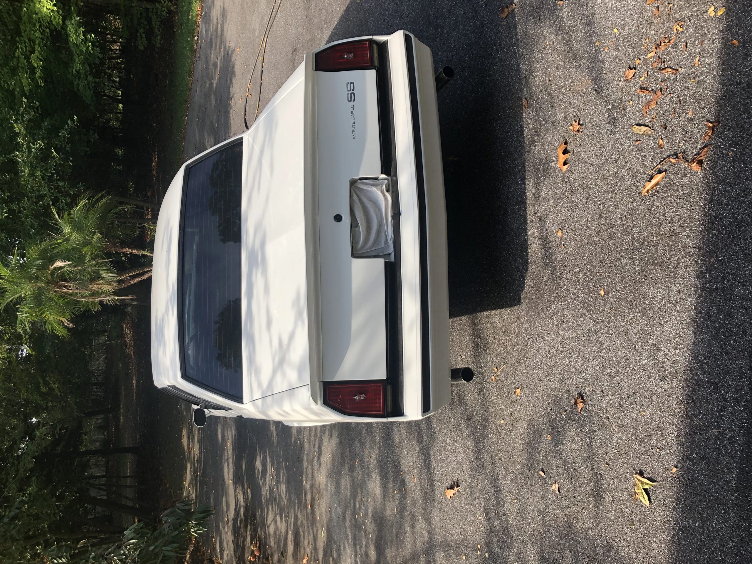 Chevrolet-Monte-carlo-1985-White-Gray-3