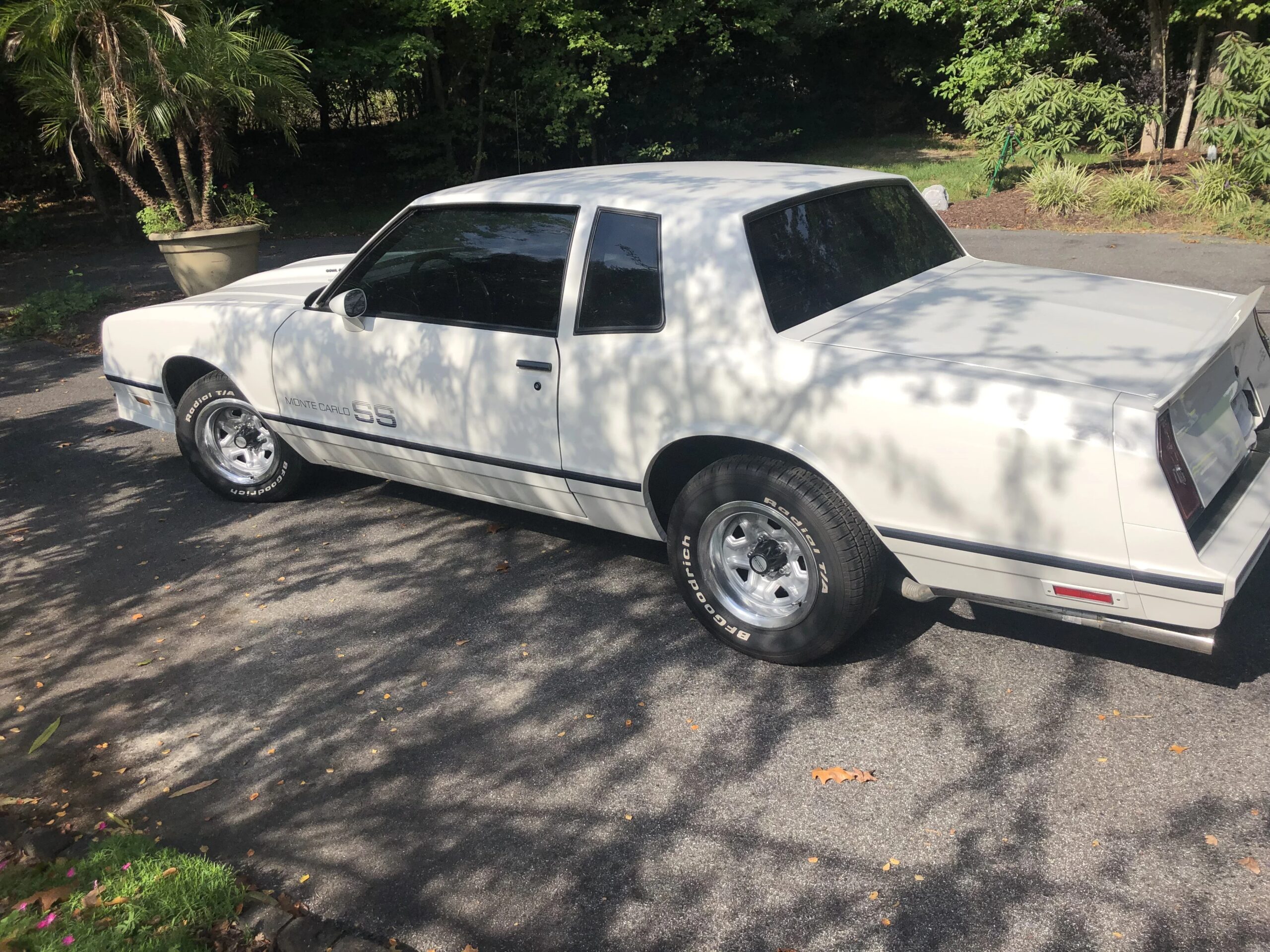 Chevrolet-Monte-carlo-1985-White-Gray-7