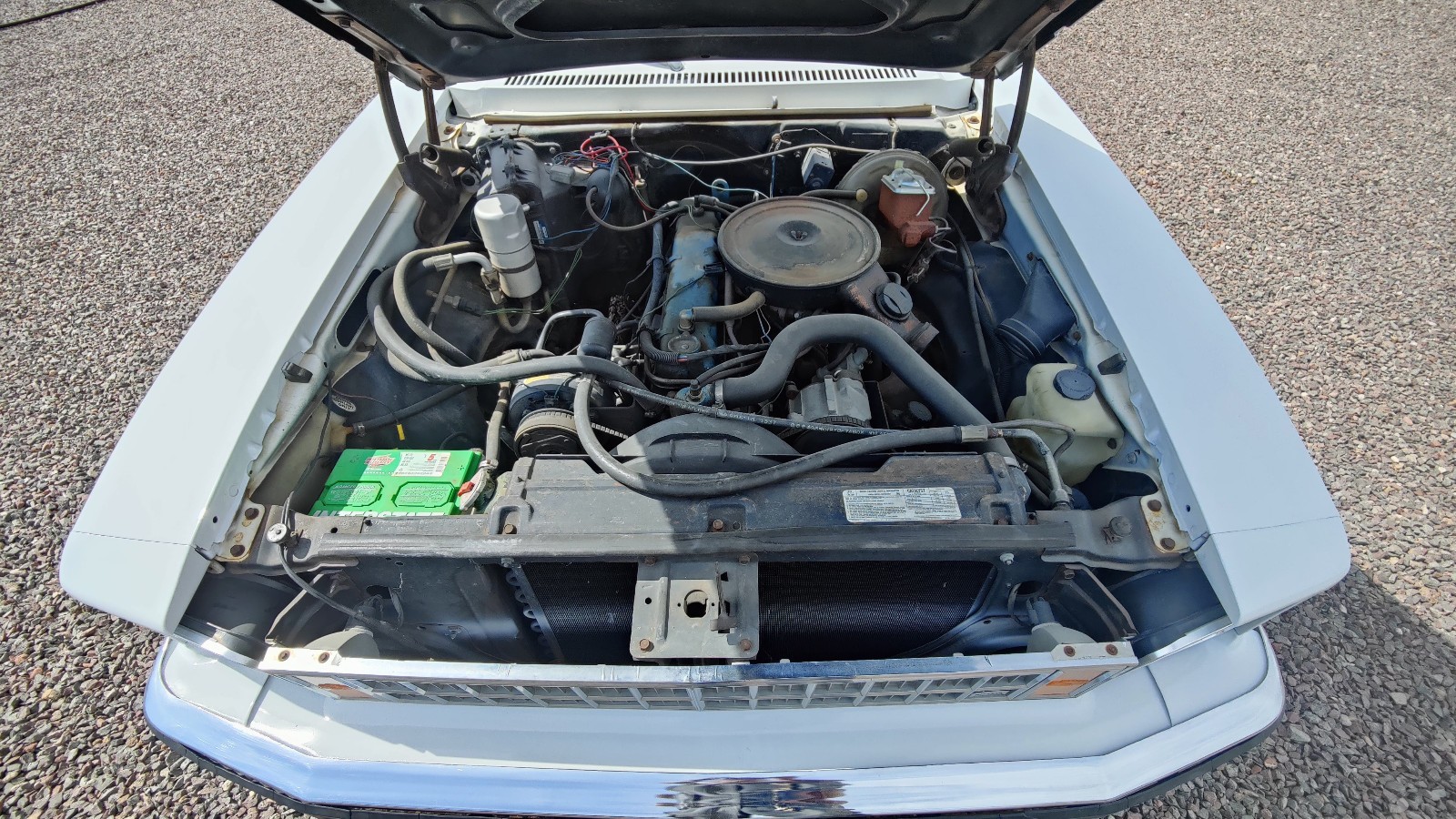 Chevrolet-Nova-1977-Coupe-10