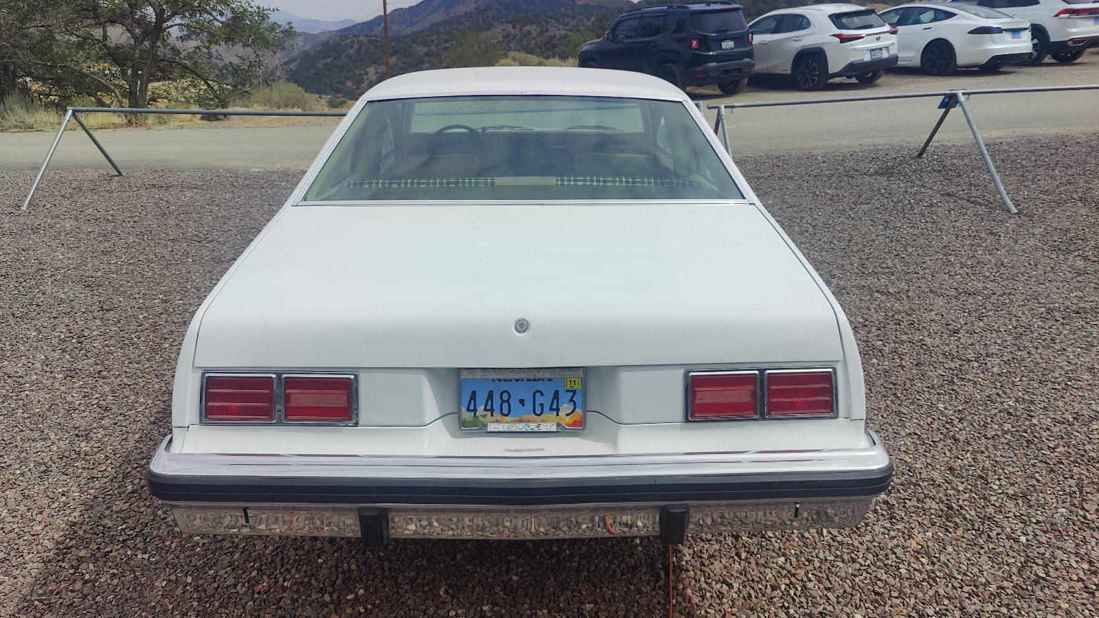 Chevrolet-Nova-1977-Coupe-8