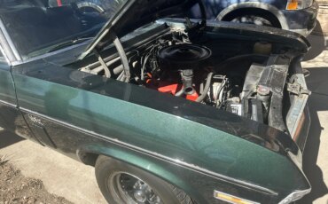 Chevrolet-Nova-coupe-1970-Green-Black-4
