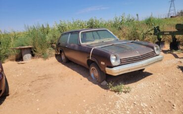 Chevrolet-Other-1977-Wagon