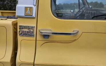 Chevrolet-Other-1982-Yellow-2