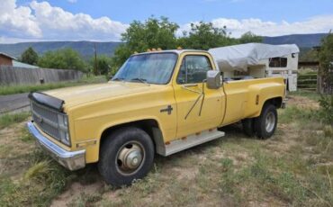 Chevrolet-Other-1982-Yellow