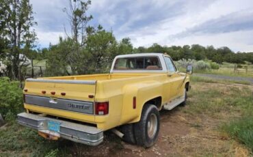 Chevrolet-Other-1982-Yellow-4