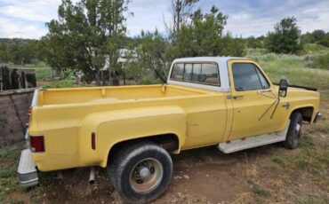 Chevrolet-Other-1982-Yellow-5
