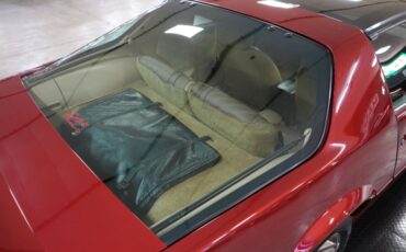 Chevrolet-Other-1987-Burgundy-Tan-47