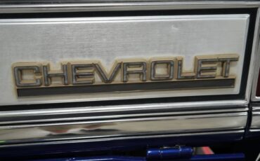Chevrolet-Other-1989-Blue-Metallic-Gray-28