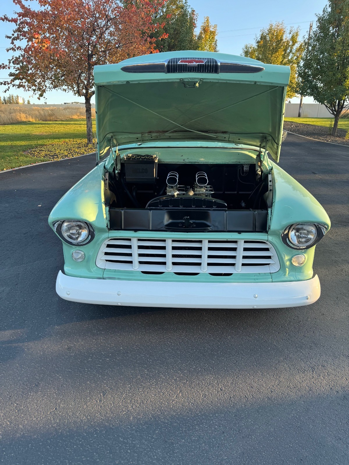 Chevrolet Other Pickups 1956
