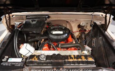 Chevrolet-Other-Pickups-1965-Pickup-Truck-3