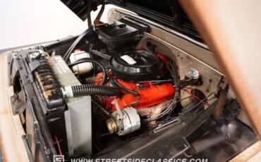 Chevrolet-Other-Pickups-1965-Pickup-Truck-35