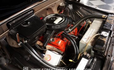 Chevrolet-Other-Pickups-1965-Pickup-Truck-38