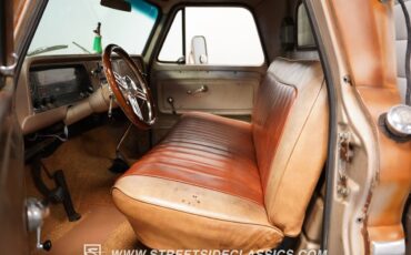 Chevrolet-Other-Pickups-1965-Pickup-Truck-4