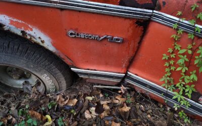 Chevrolet Other Pickups 1967