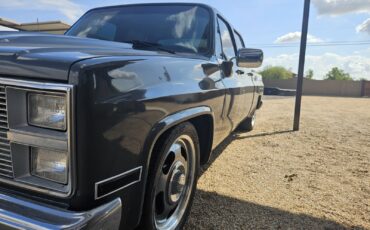 Chevrolet-Other-Pickups-1973-4