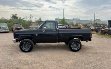 Chevrolet-Other-Pickups-1981-2-Dr-1