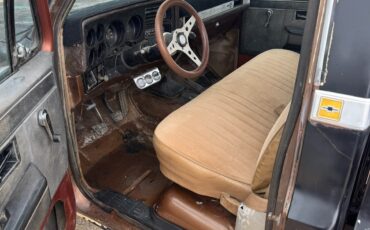 Chevrolet-Other-Pickups-1981-2-Dr-14