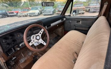 Chevrolet-Other-Pickups-1981-2-Dr-16