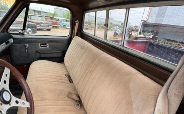 Chevrolet-Other-Pickups-1981-2-Dr-17