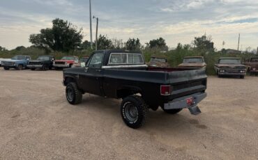 Chevrolet-Other-Pickups-1981-2-Dr-2