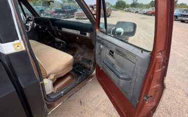 Chevrolet-Other-Pickups-1981-2-Dr-22