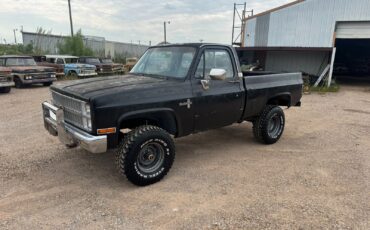 Chevrolet-Other-Pickups-1981-2-Dr