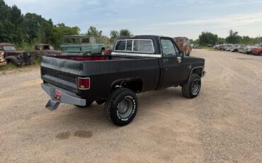 Chevrolet-Other-Pickups-1981-2-Dr-5