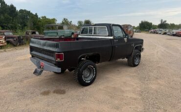 Chevrolet-Other-Pickups-1981-2-Dr-6