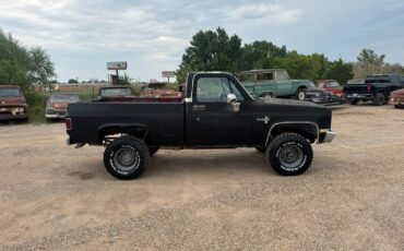 Chevrolet-Other-Pickups-1981-2-Dr-7
