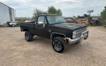 Chevrolet-Other-Pickups-1981-2-Dr-8