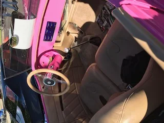 Chevrolet-Other-chevrolet-models-1932-Pink-Tan-2