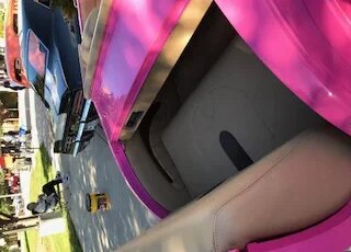 Chevrolet-Other-chevrolet-models-1932-Pink-Tan-3
