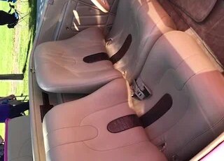 Chevrolet-Other-chevrolet-models-1932-Pink-Tan-4